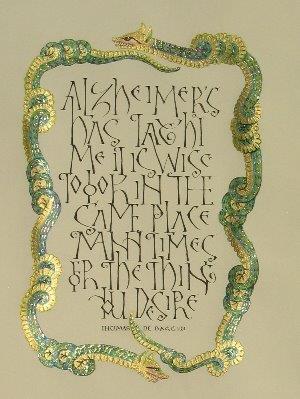 Nat'l Council on Aging- Internt'l Alz-Convention Toronto-Thumb